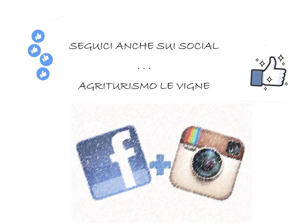 Farm stay Agriturismo Le Vigne *